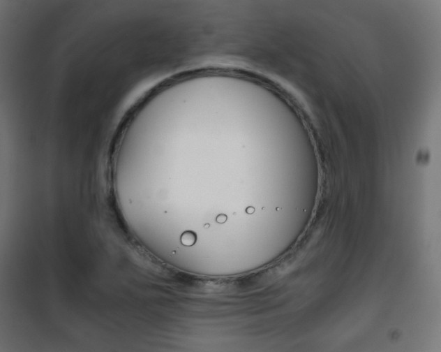 X0000101391271200807070956