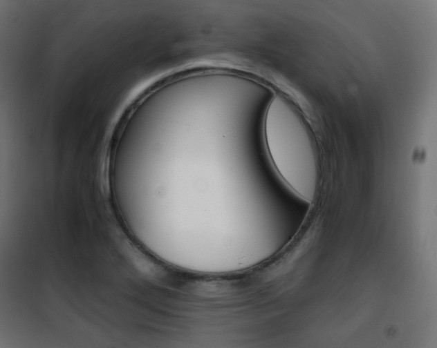 X0000101391272200807070956
