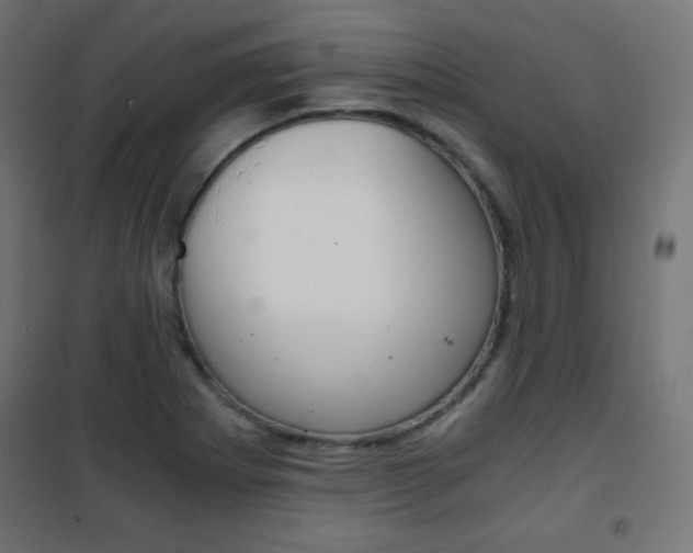 X0000101391273200807070956
