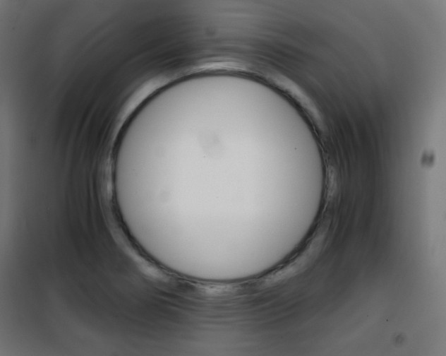 X0000101391274200807070956