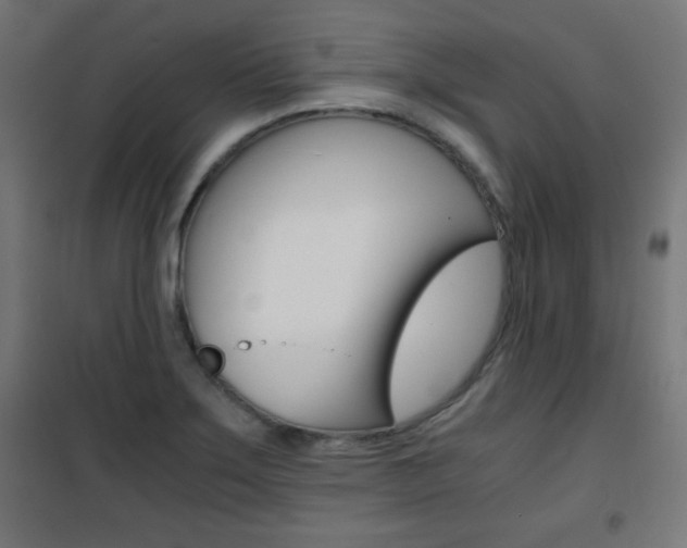 X0000101391275200807070956