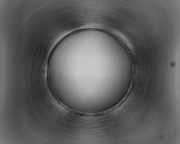 X0000101391276200807070956