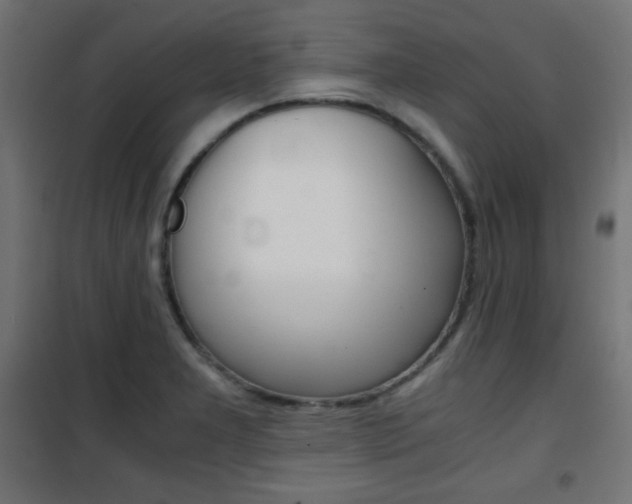 X0000101391277200807070956