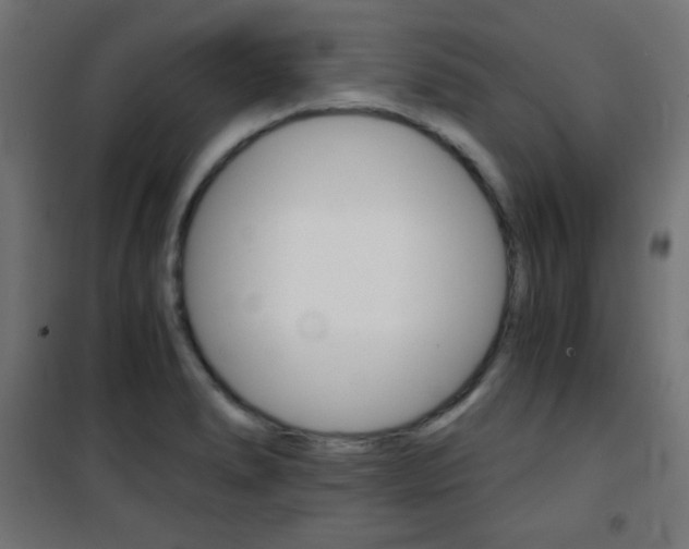 X0000101391278200807070956
