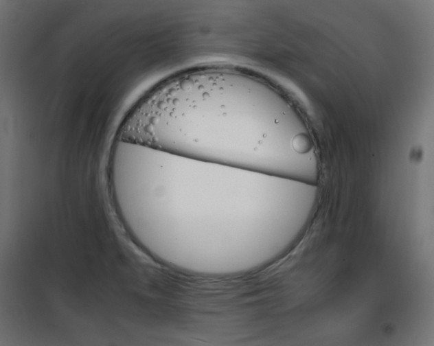 X0000101391279200807070956