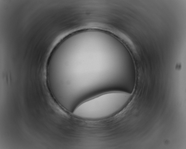 X0000101391280200807070956