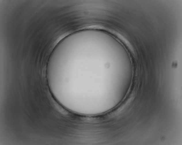X0000101391281200807070956
