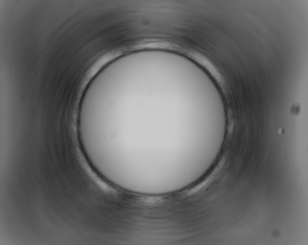 X0000101391282200807070956
