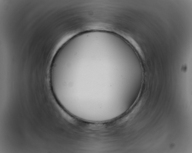 X0000101391285200807070956