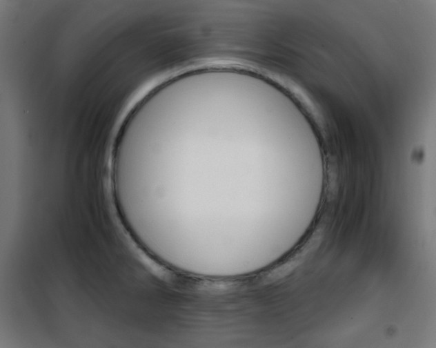 X0000101391286200807070956