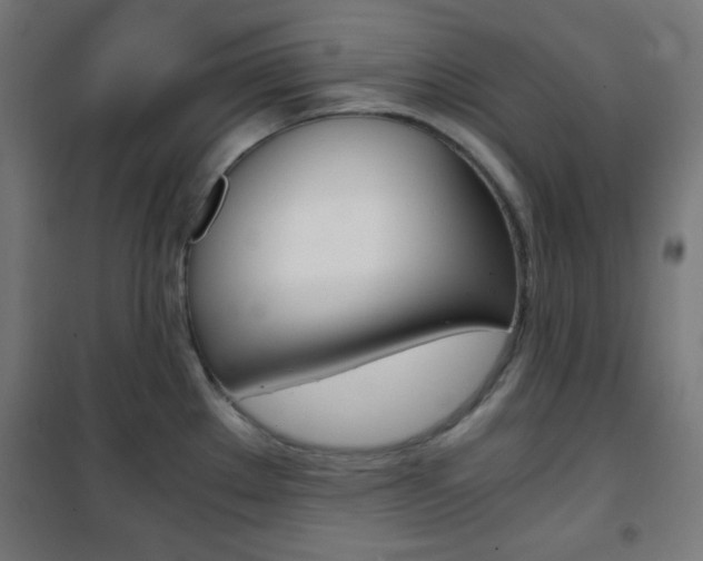 X0000101391289200807070956