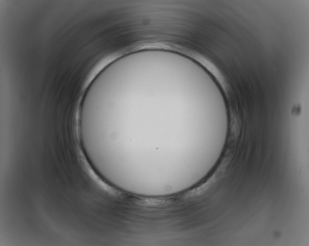 X0000101391290200807070956