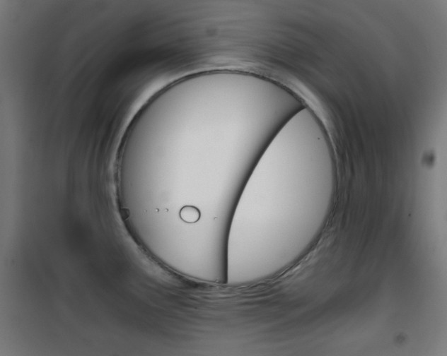 X0000101391291200807070956