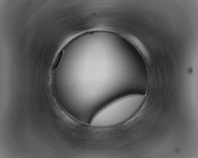 X0000101391292200807070956