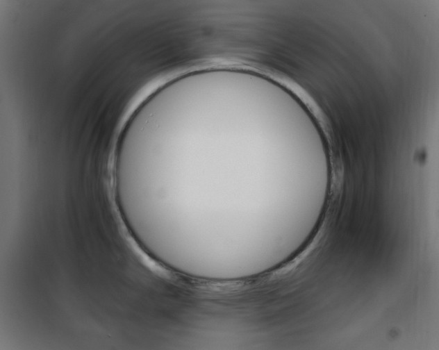 X0000101391294200807070956