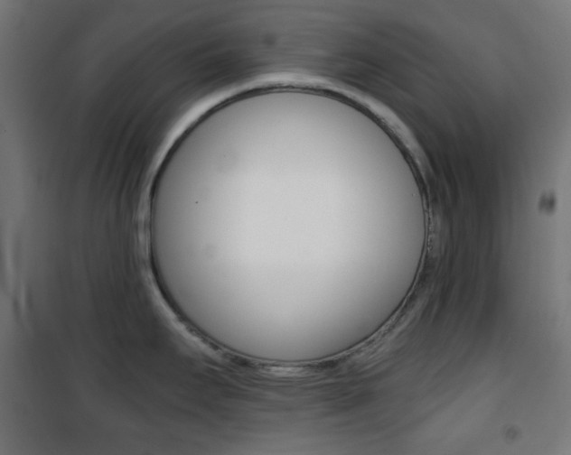 X0000101391295200807070956