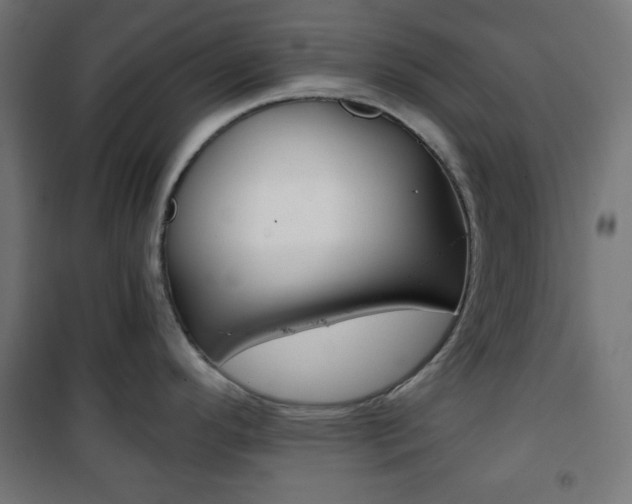 X0000101391296200807070956