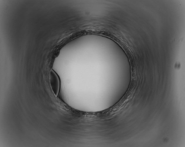 X0000101391297200807070955