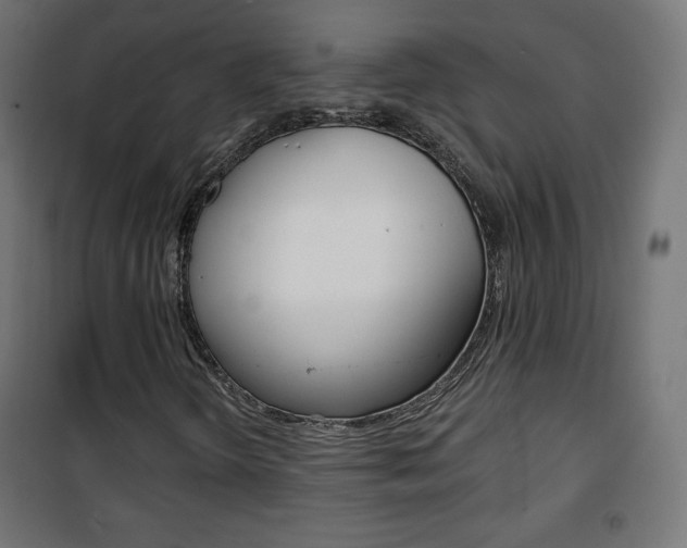 X0000101391298200807070955