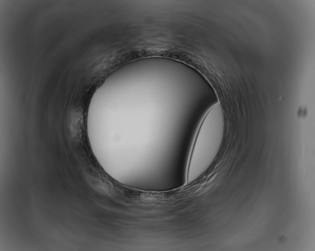 X0000101391299200807070955
