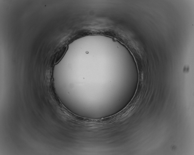 X0000101391300200807070955