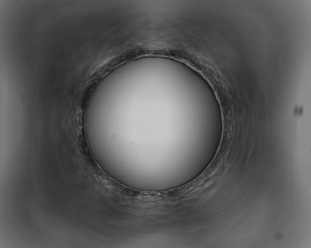 X0000101391301200807070955