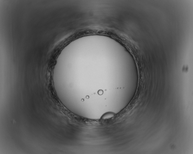 X0000101391302200807070955