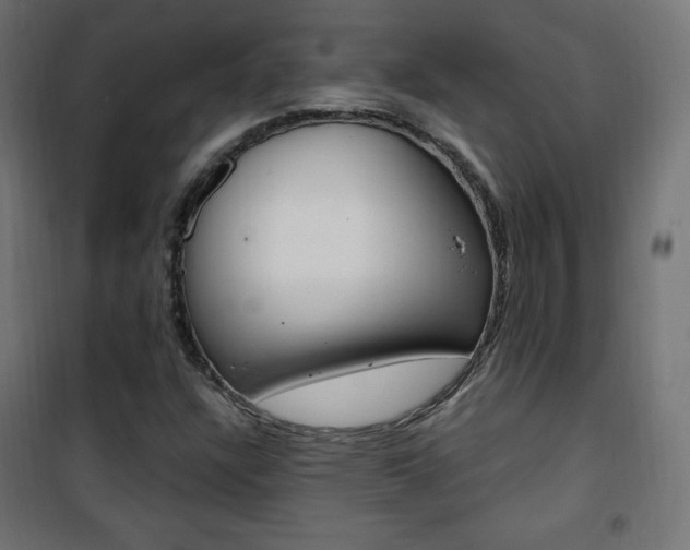 X0000101391304200807070955