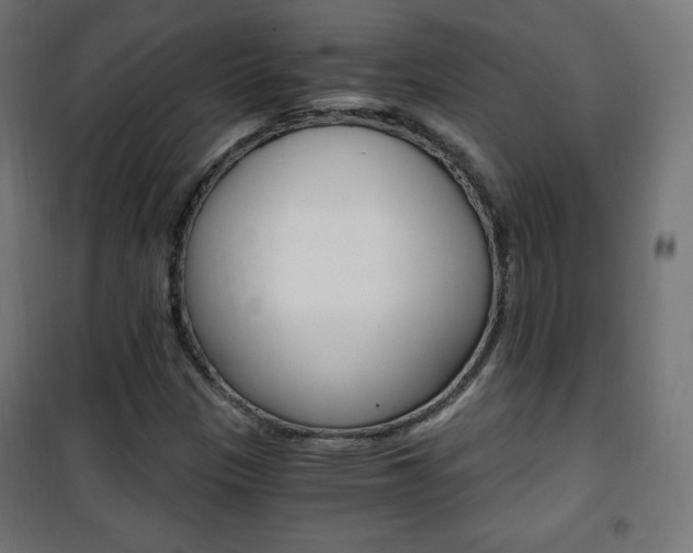 X0000101391305200807070955