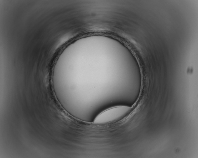 X0000101391306200807070955