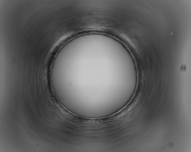 X0000101391307200807070955