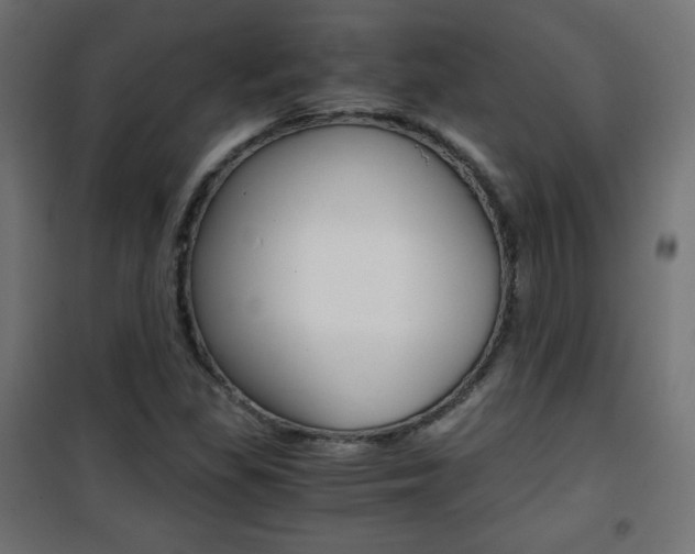 X0000101391309200807070955