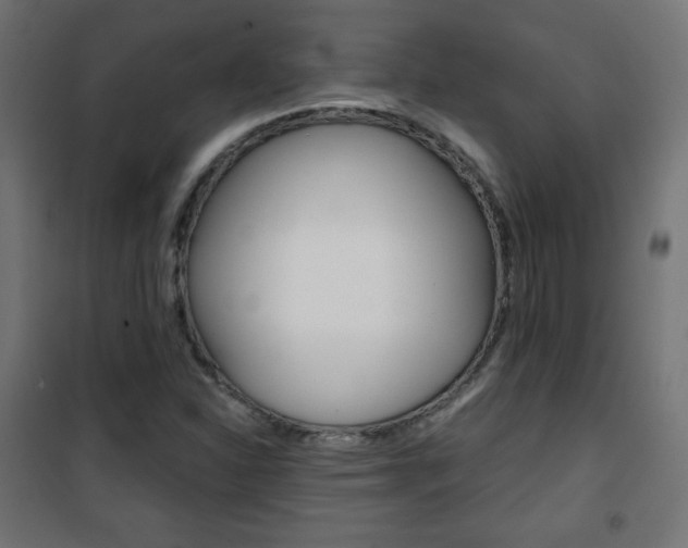 X0000101391310200807070955