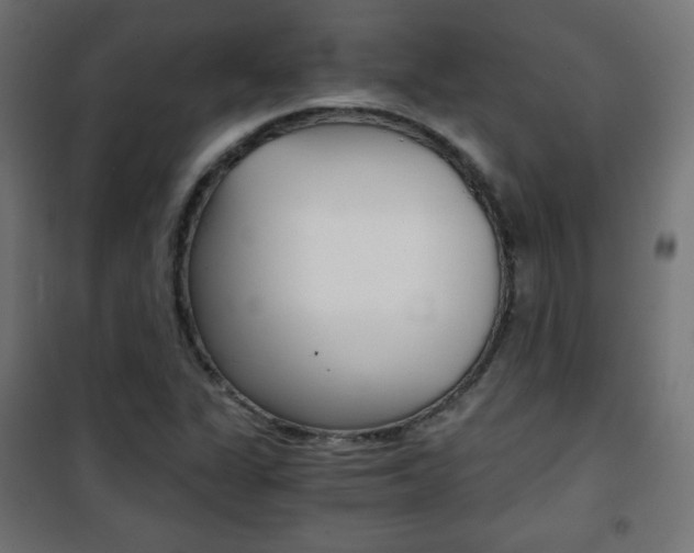 X0000101391311200807070955