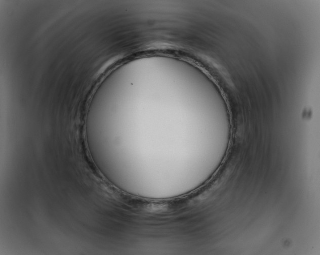 X0000101391313200807070955