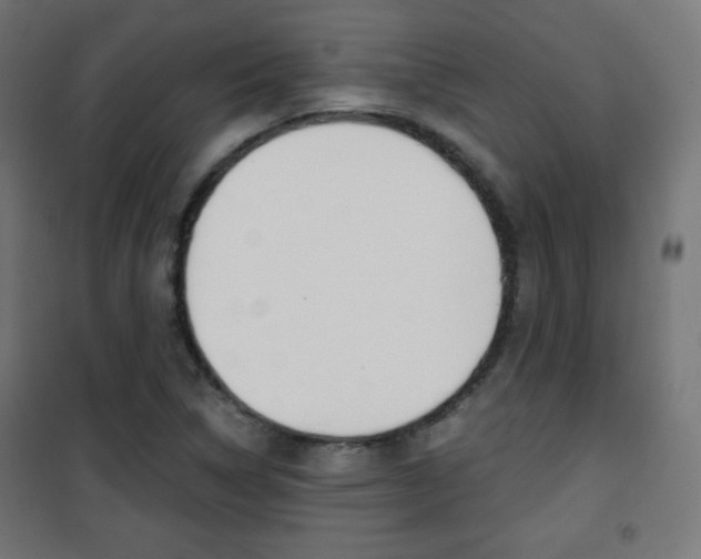 X0000101391314200807070955