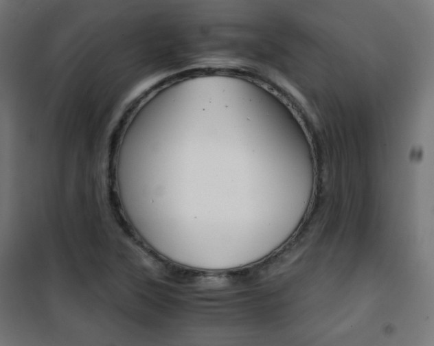 X0000101391315200807070955