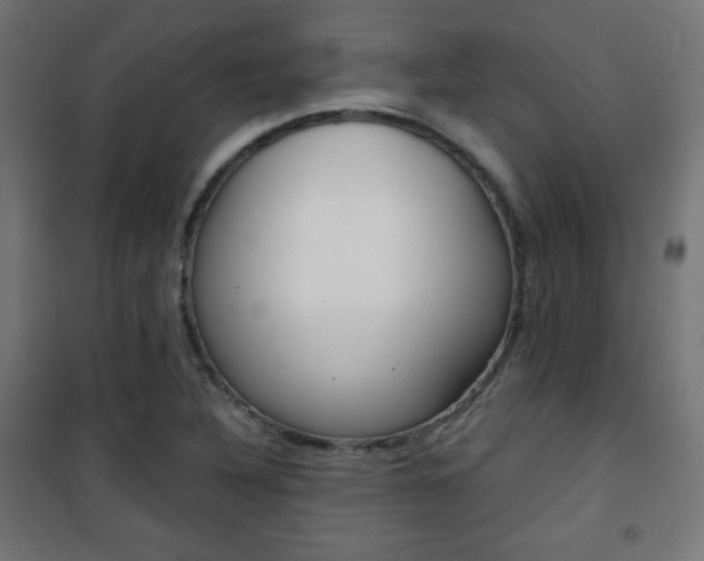 X0000101391316200807070955