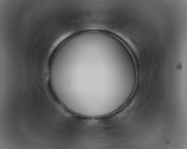 X0000101391317200807070955