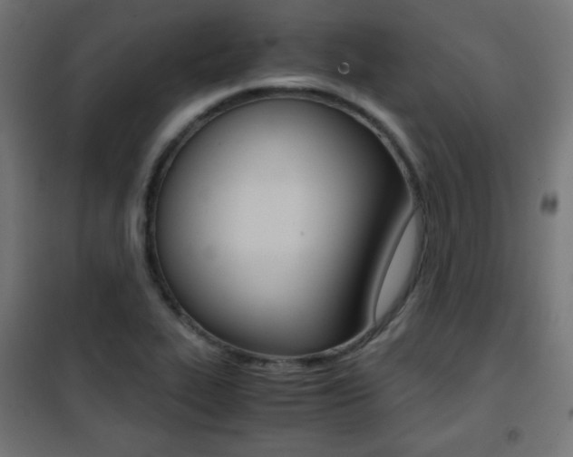 X0000101391319200807070955