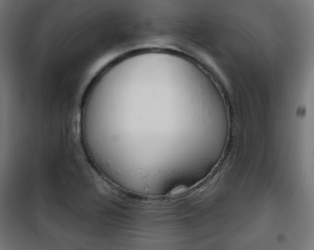 X0000101391320200807070955