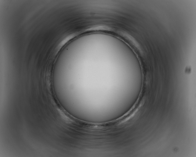 X0000101391321200807070955