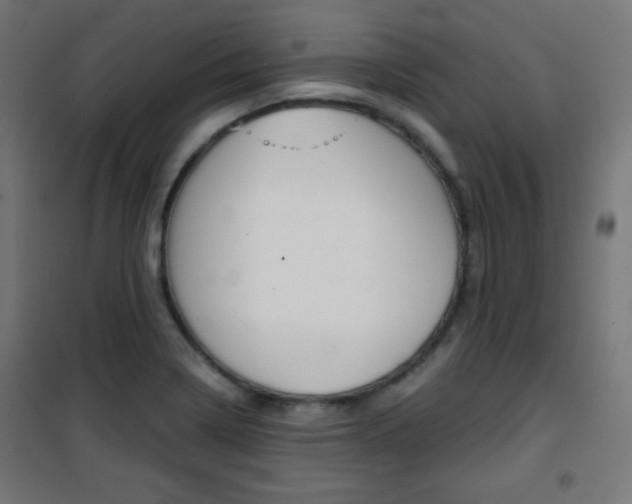 X0000101391322200807070956