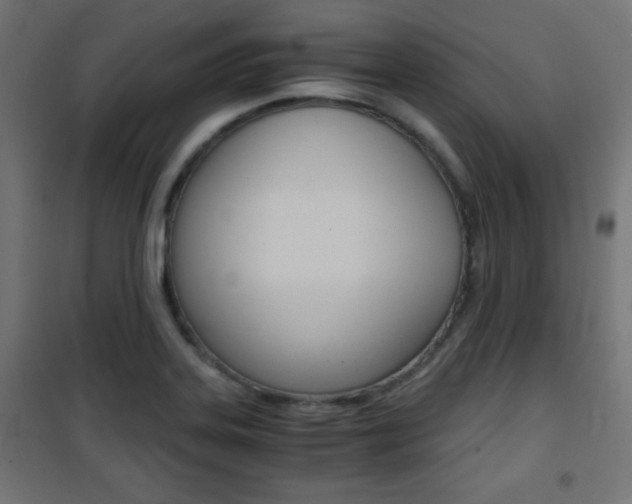 X0000101391323200807070956