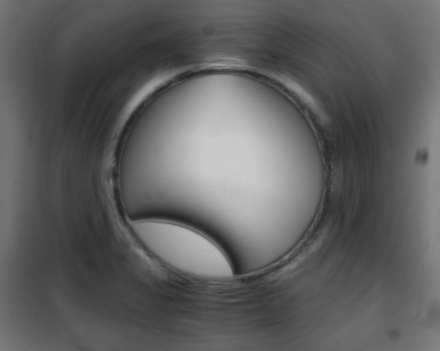 X0000101391325200807070956