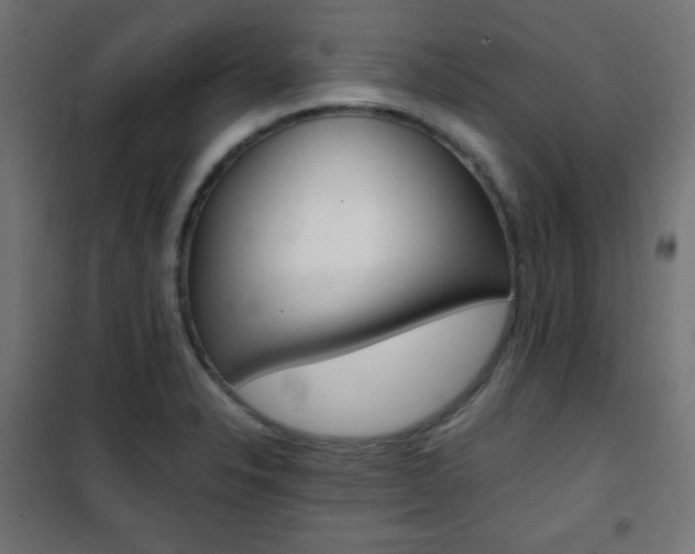 X0000101391326200807070956