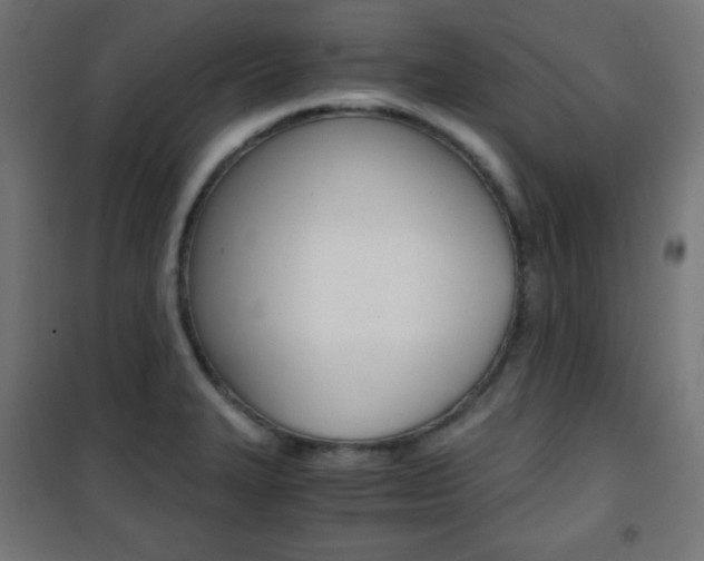 X0000101391327200807070956