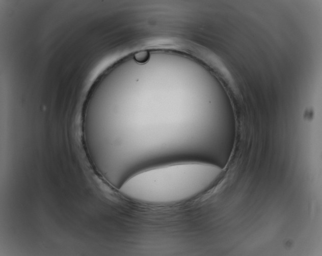 X0000101391328200807070956