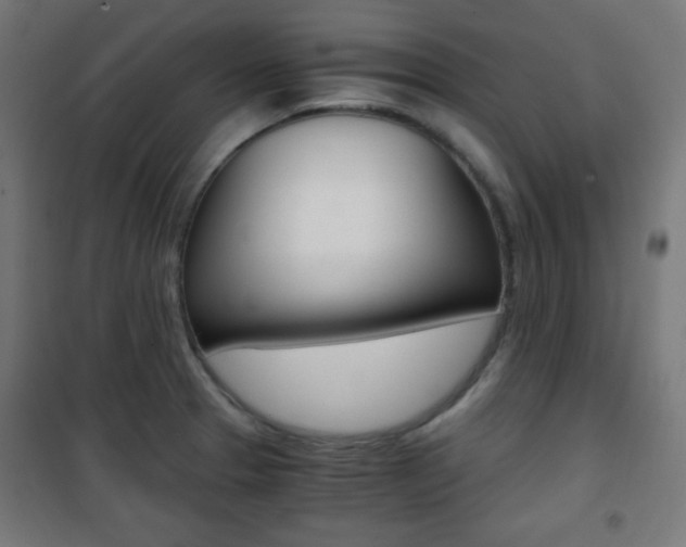 X0000101391329200807070956
