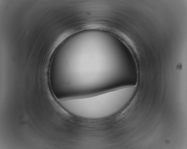 X0000101391330200807070956